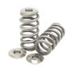 KelfordCams - Ford - 3.5 Valve Springs (KVS252-BT)
