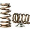 KelfordCams - VR38DETT Springs (KVS38-BT)